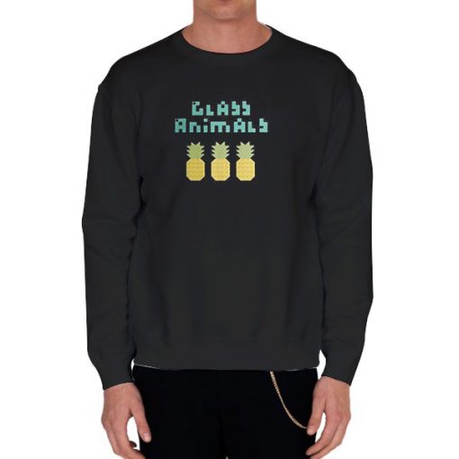 Black Sweatshirt Pineapple Glass Animals Band Shirt